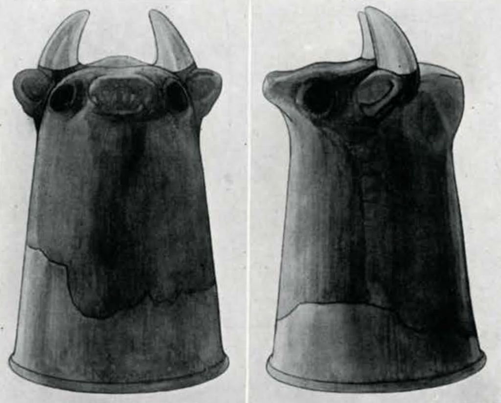 Drawing of front and side views of a cylindrical bodied object with short horns and bull face