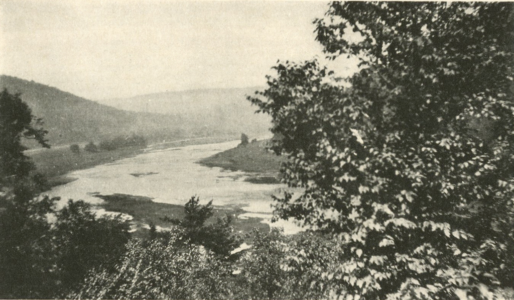 The Susquehanna river, obscured by a tree, mountains in the distance