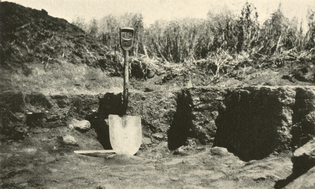 A shovel leaning against the side of a shallow pit