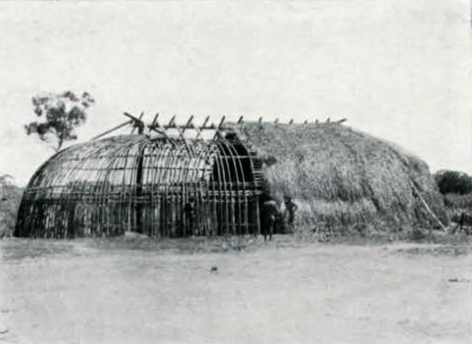 A half built house, showing the framework, half covered in leaves or grass