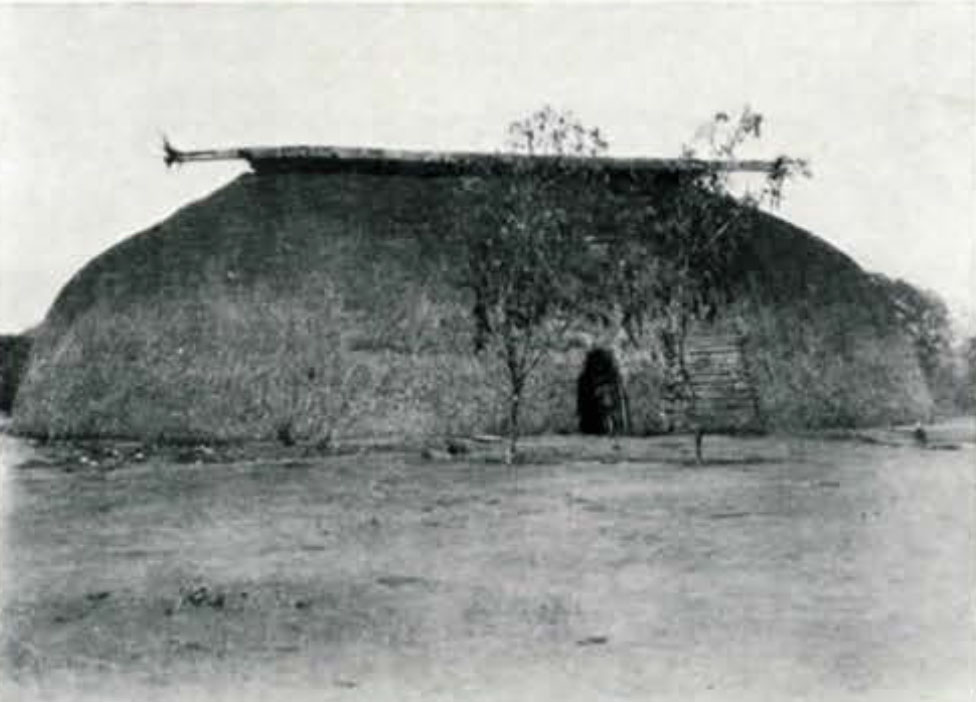A thatched house, oblong, with two trees in front