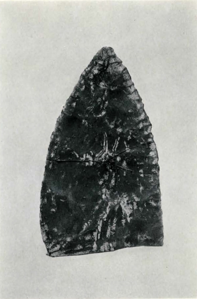 A roughly hewn stone blade