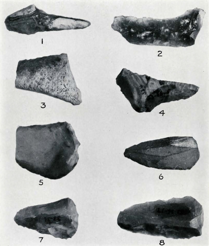 eight carved stone artifacts