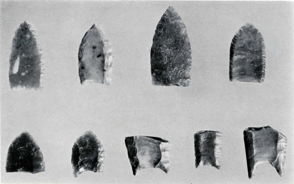 nine carved stone points and tools