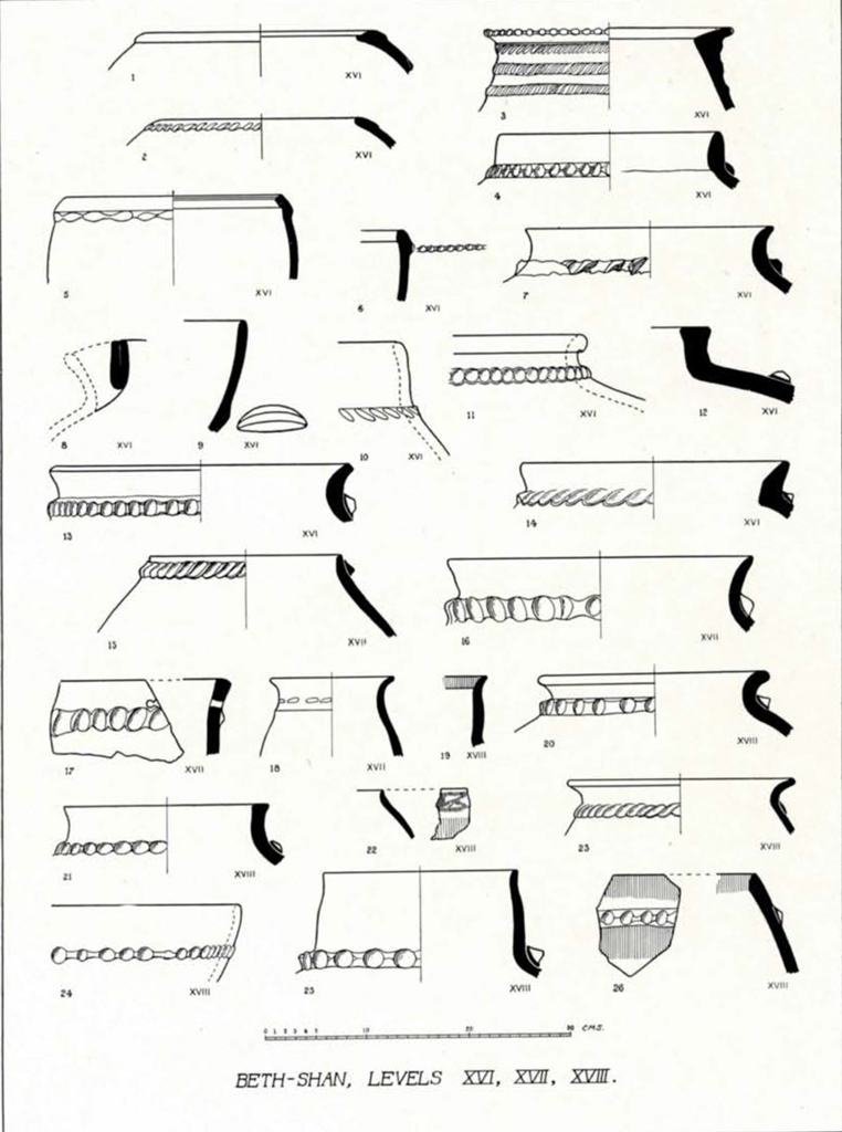 Drawn cross section diagram of pottery necks from levels xvi-xviii