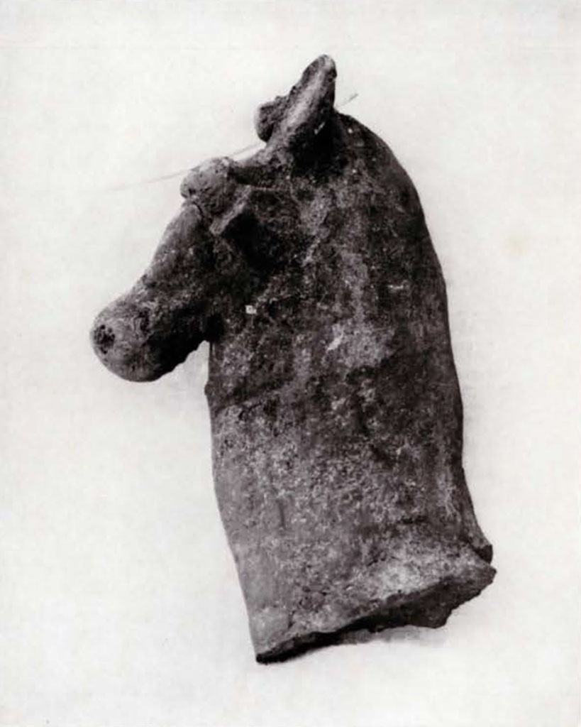 Model of a horse head with thick neck