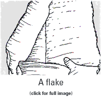 A flake