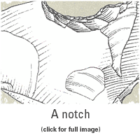 A notch