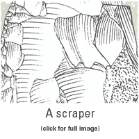 A scraper